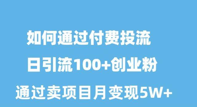 如何通过付费投流日引流100+创业粉月变现5W+-云创网