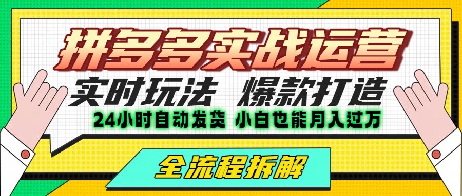 拼多多最新实战运营高投产：长久稳定项目，单店利润一天三位数-云创网