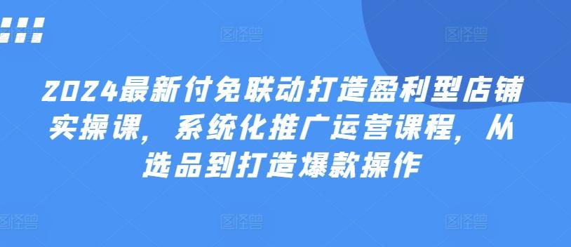 2024最新付免联动打造盈利型店铺实操课，​系统化推广运营课程，从选品到打造爆款操作-云创网