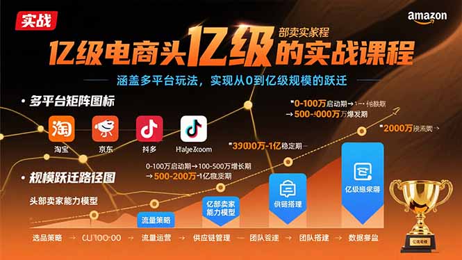 亿级电商头部卖家的实战课程：涵盖多平台玩法，实现从0到亿级规模的跃迁-云创网