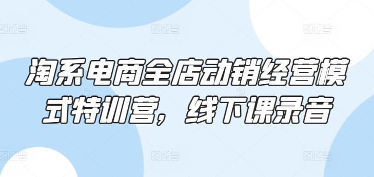 淘系电商全店动销经营模式特训营，线下课录音-云创网