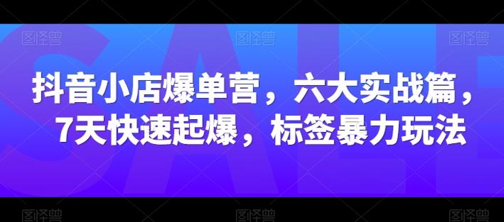 抖音小店爆单营，六大实战篇，7天快速起爆，标签暴力玩法-云创网