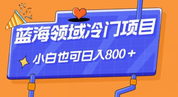 蓝海领域冷门赛道，一单39.9，日入800＋-云创网