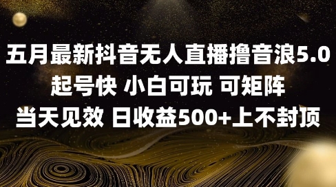 2025五月最新无人直播撸音浪单日产出5张+实操教程【揭秘】-云创网