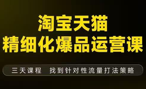 猫课子幽·淘宝天猫精细化爆品运营【音频+字幕+文档】(9月12-14杭州线下课)-云创网