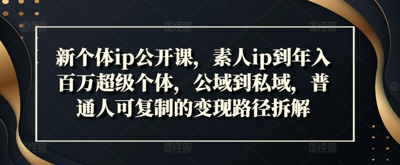 新个体ip公开课，素人ip到年入百万超级个体，公域到私域，普通人可复制的变现路径拆解-云创网