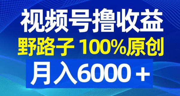 视频号野路子撸收益，100%原创，条条爆款，月入6000＋【揭秘】-云创网