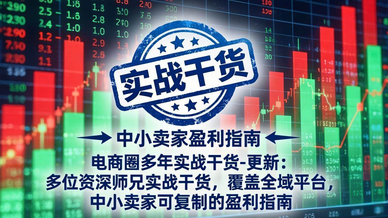 （19447期）电商圈多年实战干货-更新2026：多位资深师兄实战干货/覆盖全域平台，中小卖家可复制的盈利指南-云创网