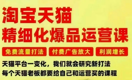 淘宝天猫精细化爆品运营课，免费流量打法-付费广告放大-利润增长-三大核心痛点，一次全部解决-云创网