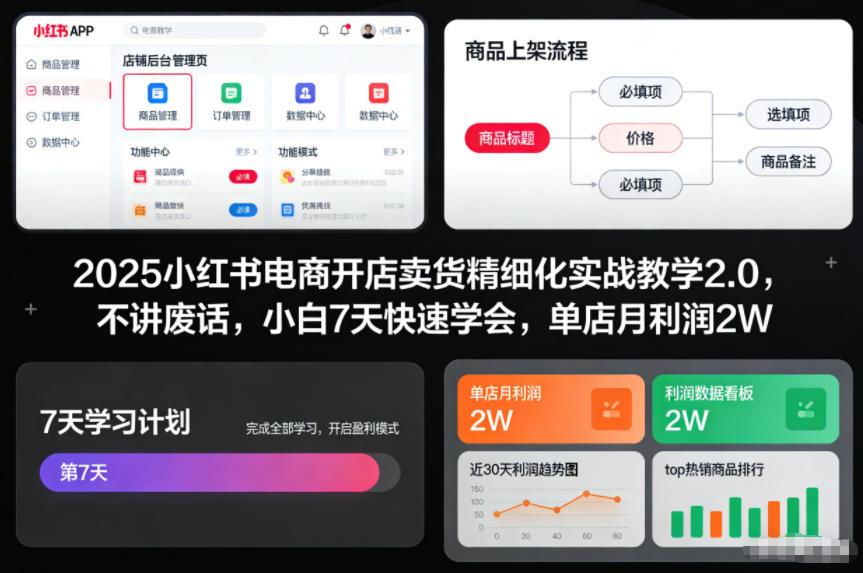 2025小红书电商开店卖货精细化实战教学2.0，不讲废话，小白7天快速学会，单店月利润2W-云创网