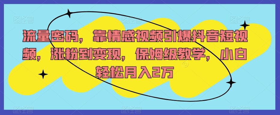 流量密码，靠情感视频引爆抖音短视频，涨粉到变现，保姆级教学，小白轻松月入2万【揭秘】-云创网