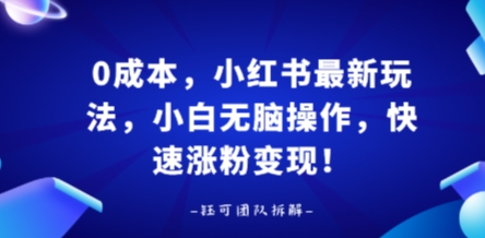 0成本，小红书最新玩法，小白无脑操作，快速涨粉变现-云创网