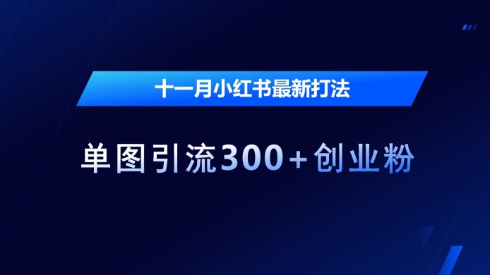 十一月小红书最新打法，单图引流300+创业粉【揭秘】-云创网
