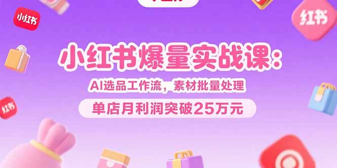 小红书爆量实战课：AI选品工作流，素材批量处理，单店月利润突破25万元-云创网