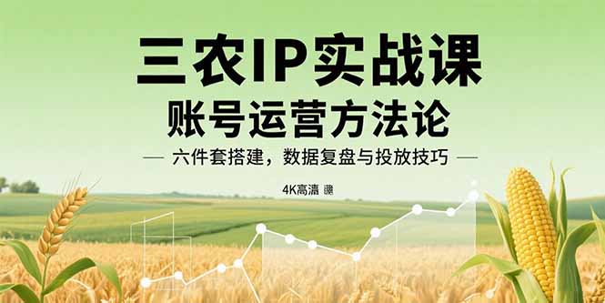 三农IP实战课：账号运营方法论，六件套搭建，数据复盘与投放技巧-云创网