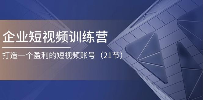 企业短视频训练营：打造一个盈利的短视频账号(21节-云创网