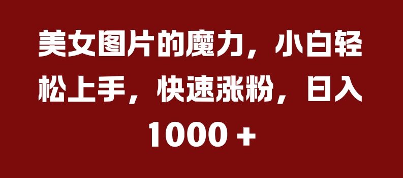 美女图片的魔力，小白轻松上手，快速涨粉，日入几张【揭秘】-云创网