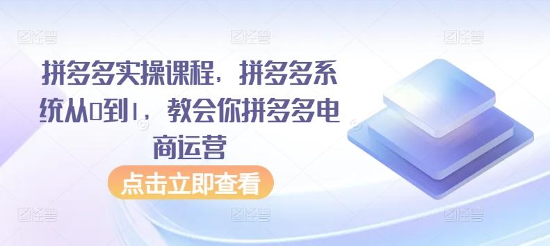 拼多多实操课程，拼多多系统从0到1，教会你拼多多电商运营-云创网