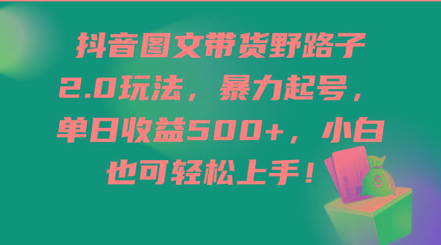 (9790期)抖音图文带货野路子2.0玩法，暴力起号，单日收益500+，小白也可轻松上手！-云创网