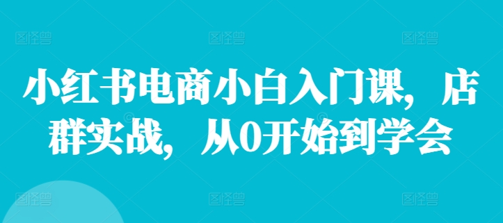 小红书电商小白入门课，店群实战，从0开始到学会-云创网