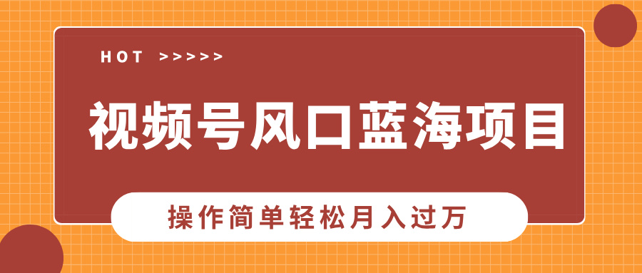 视频号风口蓝海项目，中老年人的流量密码，操作简单轻松月入过万-云创网