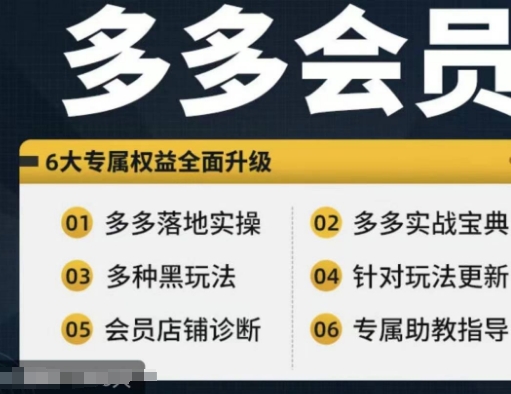 拼多多会员，拼多多实战宝典+实战落地实操，从新手到高阶内容全面覆盖-云创网