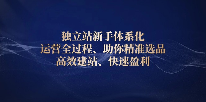 独立站新手体系化 运营全过程，助你精准选品、高效建站、快速盈利-云创网