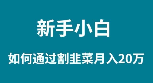 (9308期)新手小白如何通过割韭菜月入 20W-云创网