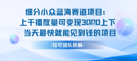 小众蓝海赛道项目：当天变现1k+适合新手操作 +适合长期玩-云创网