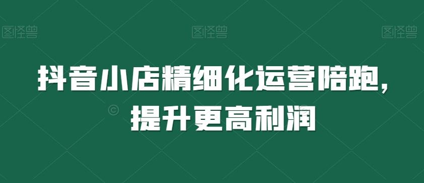 抖音小店精细化运营陪跑，提升更高利润-云创网