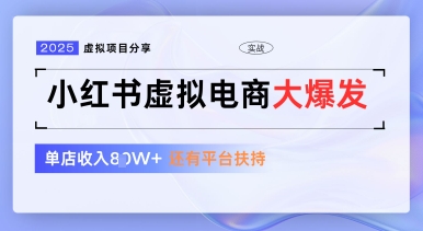 小红书虚拟电商项目，平台大力免费流量扶持，低门槛1拖3玩法-云创网