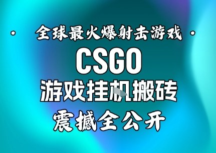 【年底大揭秘】基于全球最火爆的射击CSGO游戏挂G搬砖，日入5张+，震撼公开-云创网