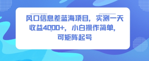 风口信息差蓝海项目，实测一天收益4k+，小白操作简单，可矩阵起号-云创网
