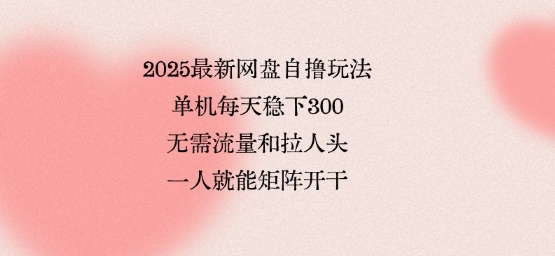 2025最新网盘自撸玩法，单机每天稳下3张，无需流量和拉人头，一个人就可轻松矩阵，全网独一份【揭秘】-云创网