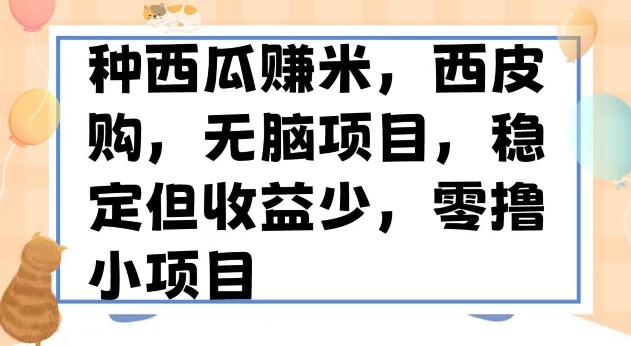 种西瓜赚米，西皮购稳定长久零撸小项目-云创网