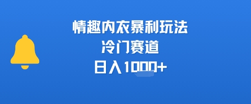 情趣内衣暴利玩法，冷门赛道，日入1k+-云创网