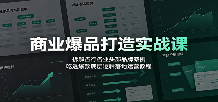 商业爆品打造实战课：拆解各行各业头部品牌案例，吃透爆款底层逻辑落地运营教程-云创网