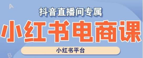 小红书电商高级运营课程，实操教学+案例分析-云创网