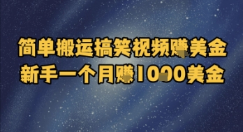 简单搬运搞笑视频挣美金，新手一个月入1k美金-云创网