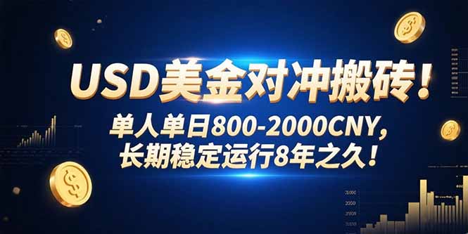 USD美金对冲搬砖!单人单日800-2000CNY，长期稳定运行8年之久!-云创网